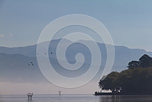 Birds on Lake Pamvotis on a misty morning, Ioannina, Greece