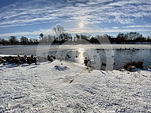 Birds on the lake during winters clear blue sky