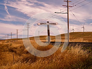 Birds Landing Signage, Solano County, California photo