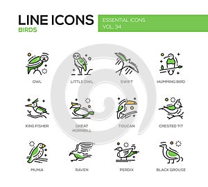 Observación de aves línea diseno iconos colocar 