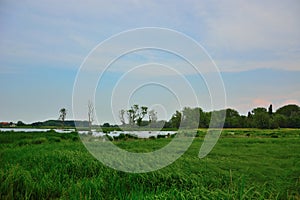 Birds lookout , floated meadow and old trees