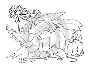 Birds and Mice with Pumpkins and Flowers, Coloring Page