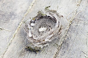 Birds Nest