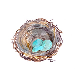 Birds nest with blue eggs. Vintage watercolor
