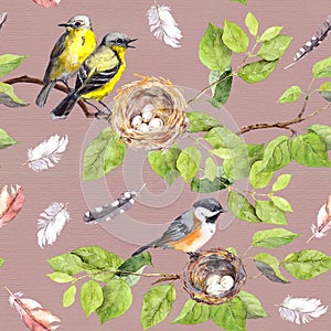 Birds, nest on branch. Seamless repeating pattern. Watercolor