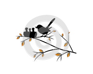 Birds in nest on branch on tree in autumn, vector. Cute birds silhouettes in love. Tree illustration in spring. Cartoon artwork