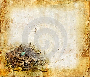 Birds Nest on a Grunge Background