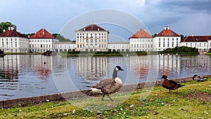 Birds at the Nymphenburg Palace grounds in Munich