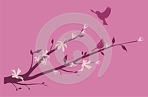 Birds on an Oriental cherry branch