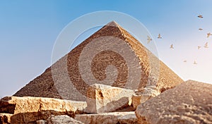 Birds over old pyramid Of Giza at sunset Cairo, Egypt