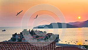 Birds over Sveti Stefan