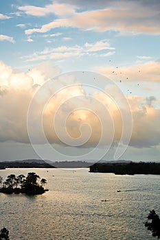 Birds over water in Rio Dulce Guatemala photo