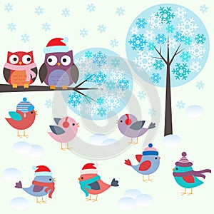 Birds and owls in winter forest