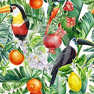 Birds, Palm leaves, pomegranate fruit and flowers, tropical background, watercolor jungle. Floral Seamless pattern