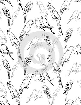 Birds parrots home print seamless texture illustration vector set