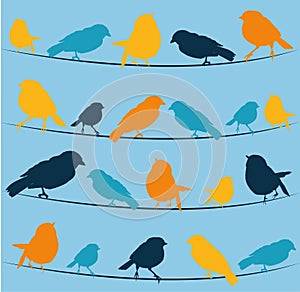 birds pattern