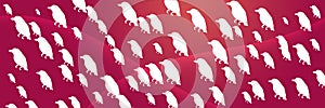 Birds Penguin Header Background on Red Magenta Gradient