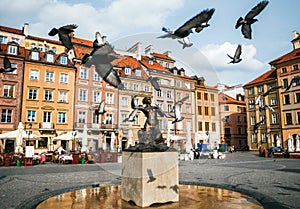 Birds of pigeons are flying through Stare Miasto Old Town Market Square with Mermaid Syrena Statue in Warsaw, Poland. photo