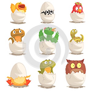 Birds and reptiles hatch from eggs set, unborn animals vector Illustrations