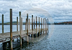 Birds Rest on Ocean Lake Dock