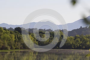 Birds. Riverfront Regional Park, Sonoma Wine Country, California