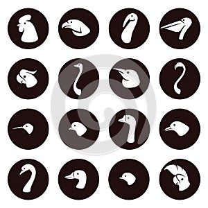 Birds set. Collection icon birds. Vector