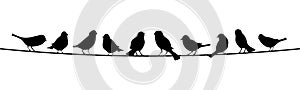 Birds silhouette vector.Birds sitting.Sitting birds illustration