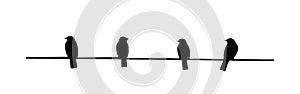 Birds silhouette on wire isolated on white background, vector illustration