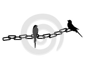 Birds silhouettes on chain isolated on white background