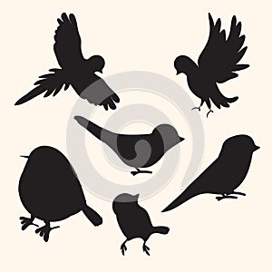 Birds silhouettes collection