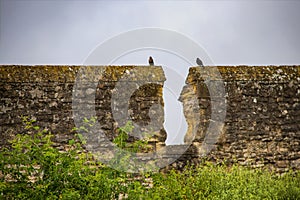 Birds sitting on either side of breach in ancient wall on overcast day - Wall that originally surrounded Oxford England photo