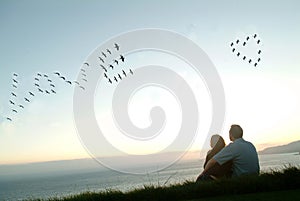 Birds in sky spell love