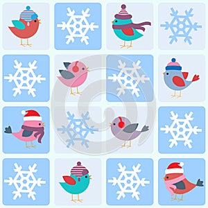 Birds and snowflakes