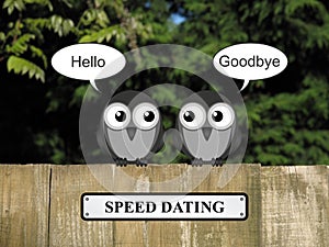 Birds Speed dating photo