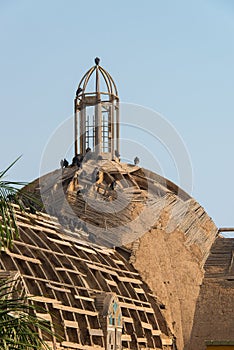 Birds take over church in Barranco photo