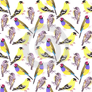 Birds in tints and shades of yellow seamless watercolor bird painting background