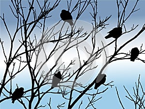 Observación de aves sobre el un árbol 