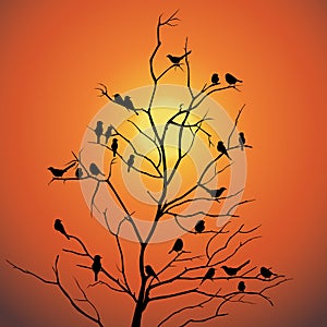 Birds and tree branch backlit sunlight vector design