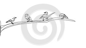 Birds on a tree branch one line art. Continuous line drawing of halloween theme, gothic, ornithology, raven, crow