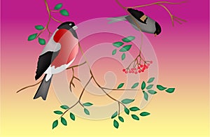 Birds on a tree. Twilight. Vector.