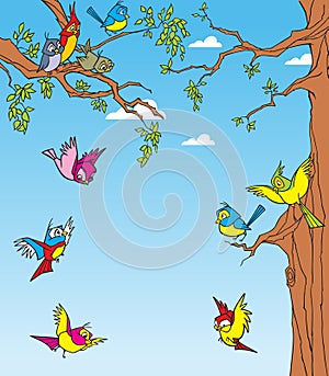 Birds in the trees