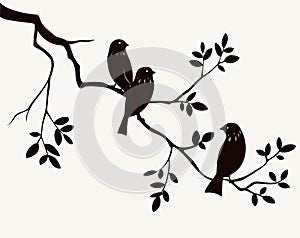 Birds on twig photo