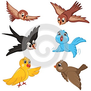 Birds Vector Illustration Set