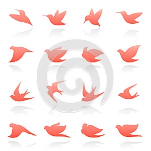 Birds. Vector logo template set.