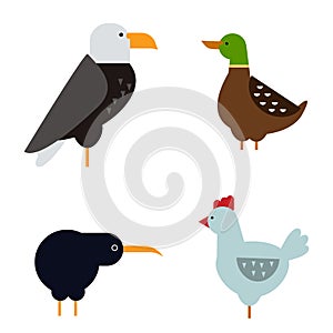 Birds vector set illustration isolated