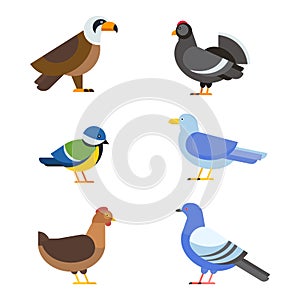 Birds vector set illustration isolated