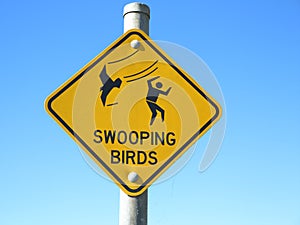 Swooping birds warning sign