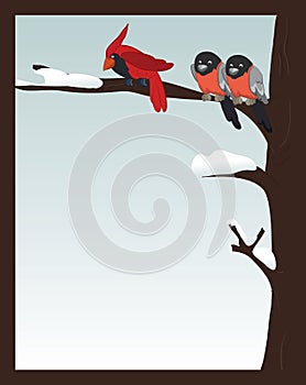 Birds in winter forest