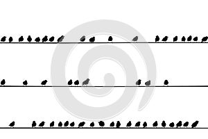 Birds on a wire