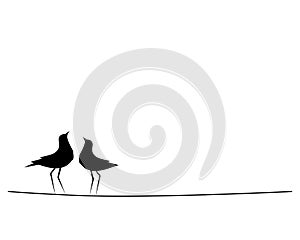 Birds couple silhouette on wire, vector. Birds in love, illustration. Wall decals, artwork, Wall art. Two birds on wire isolated